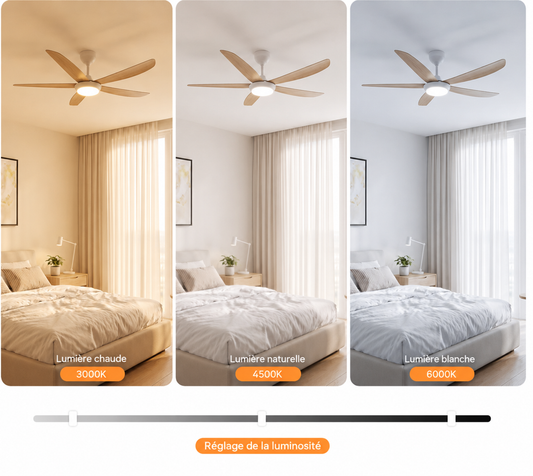 Zéphyr - Ventilateur de plafond