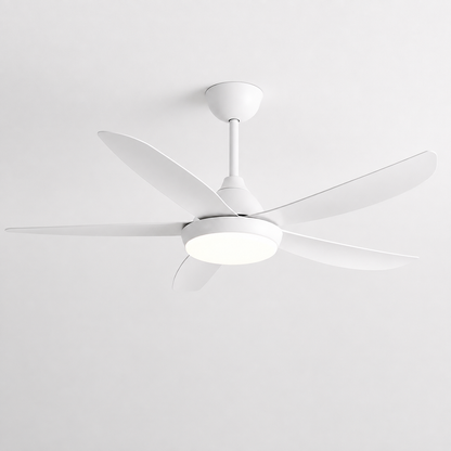 Zéphyr - Ventilateur de plafond